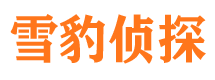 高平私家侦探公司